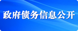 政府債務(wù)信息公開