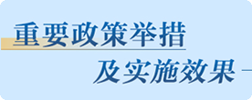 重要政策舉措及實施效果
